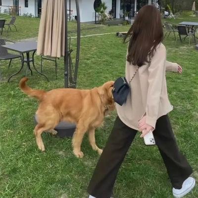 湖畔的女人们
