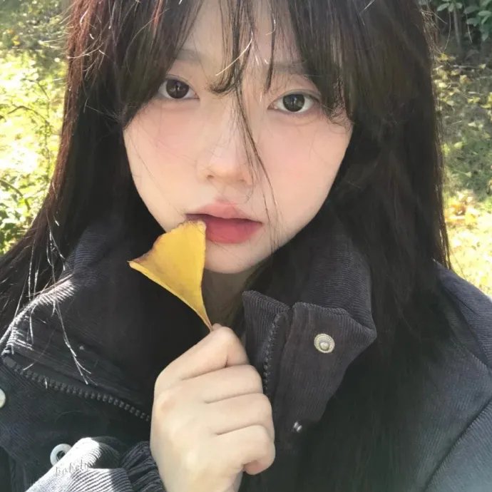 叶罗丽梦奇境真人版